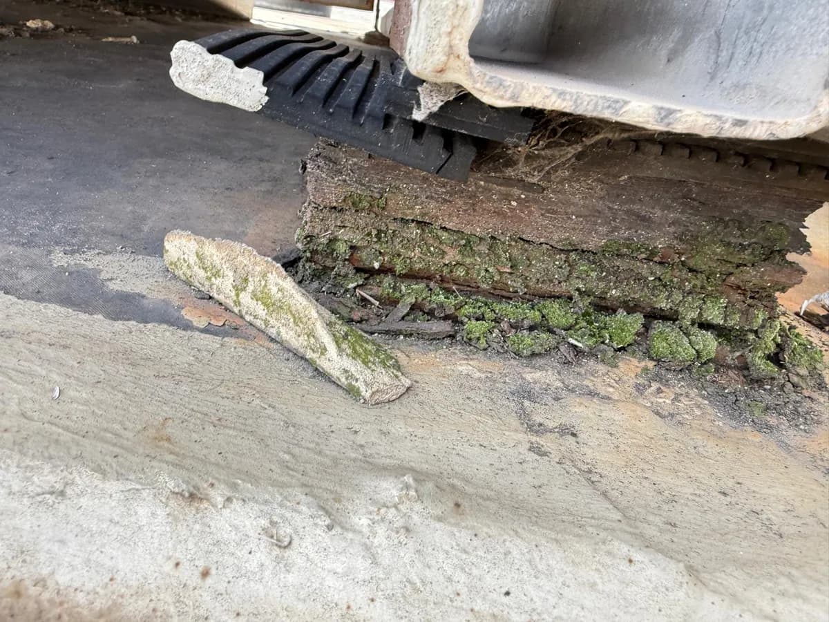 Structural timber decayed through by long-term water ingress