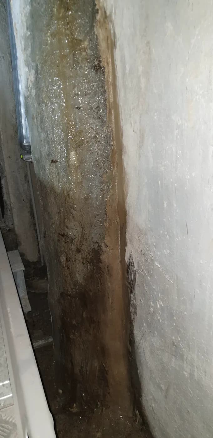 Mineral deposition and rust staining running down a wet basement wall