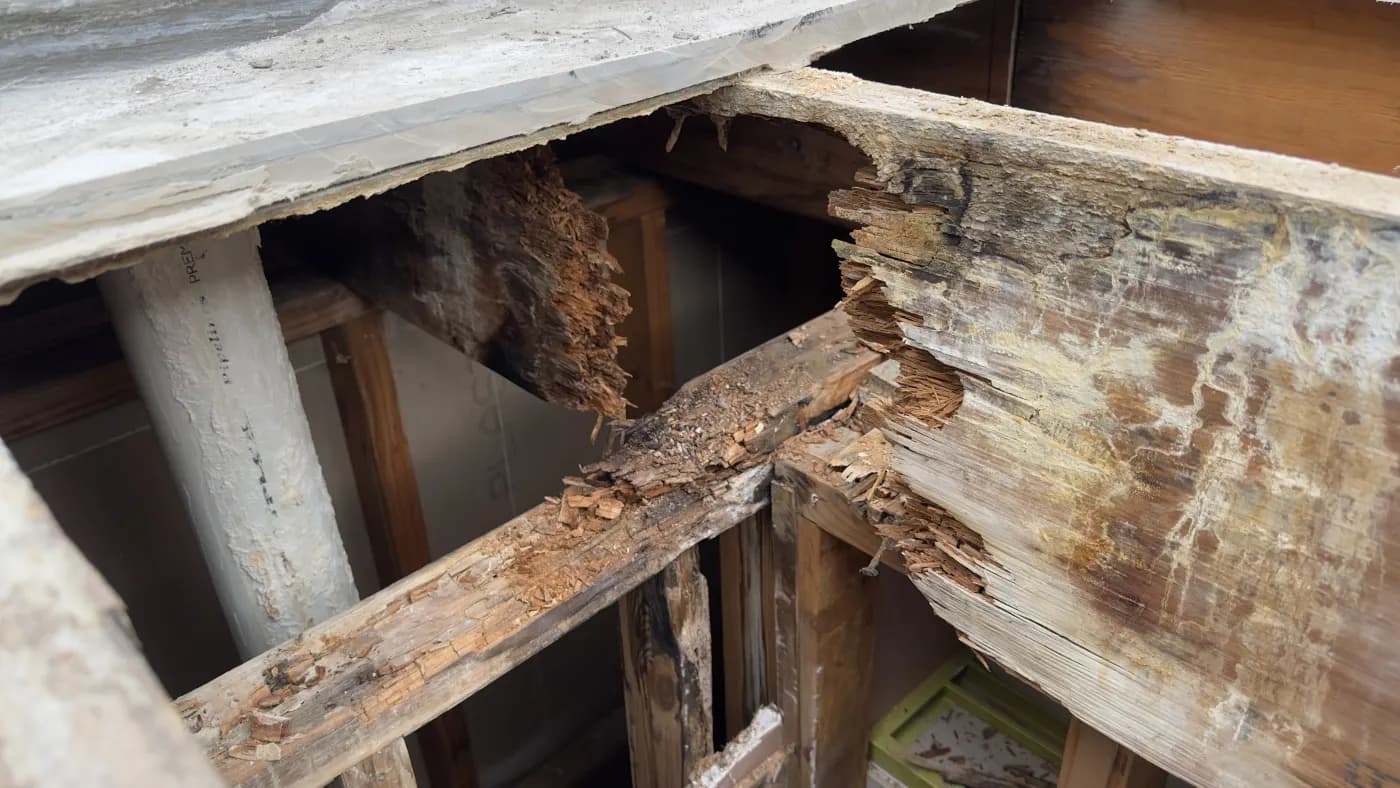 A structural bearer rotted through where a concealed leak had been running