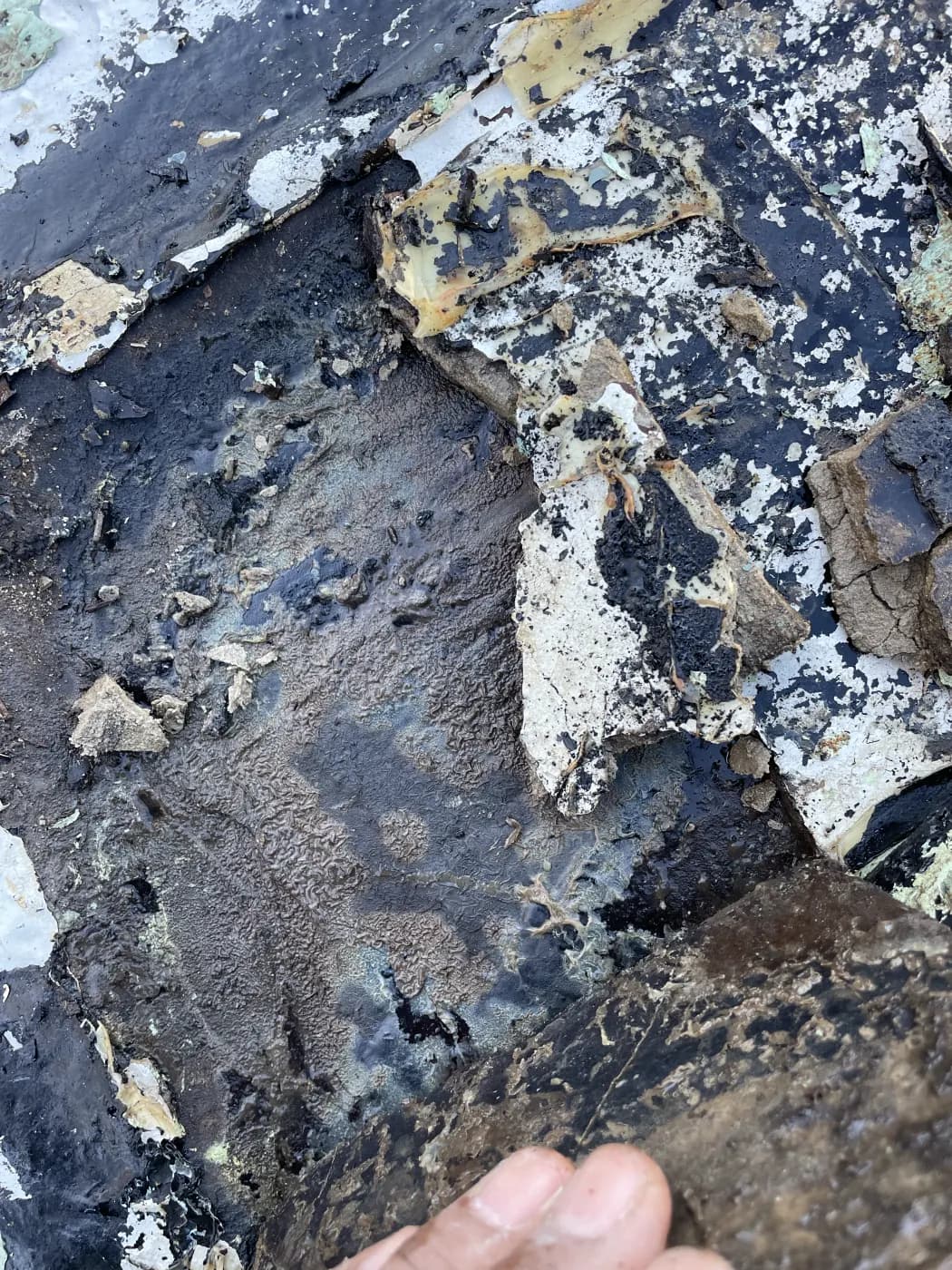 The accumulated layers lifted by hand, showing four separate coatings applied over one another