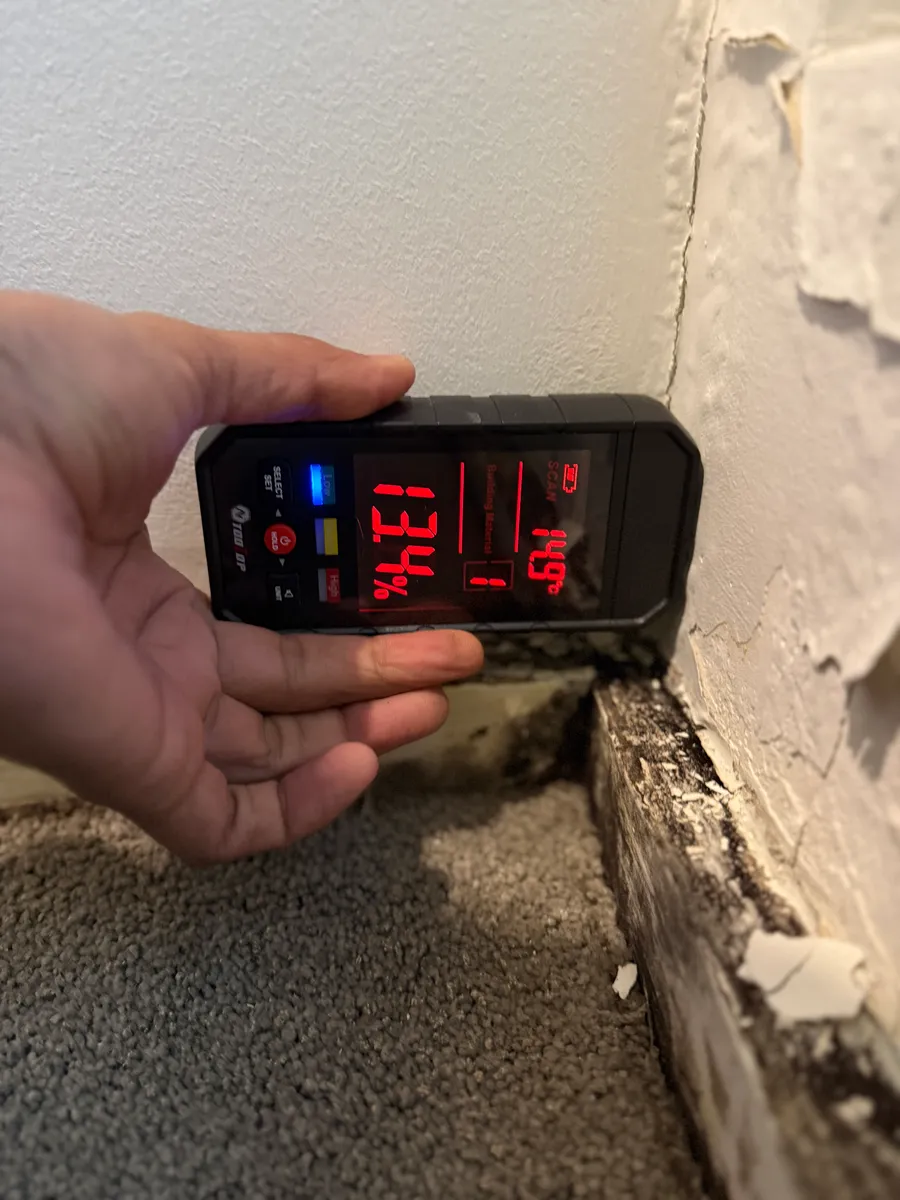 A moisture meter reading taken against a damaged wall lining