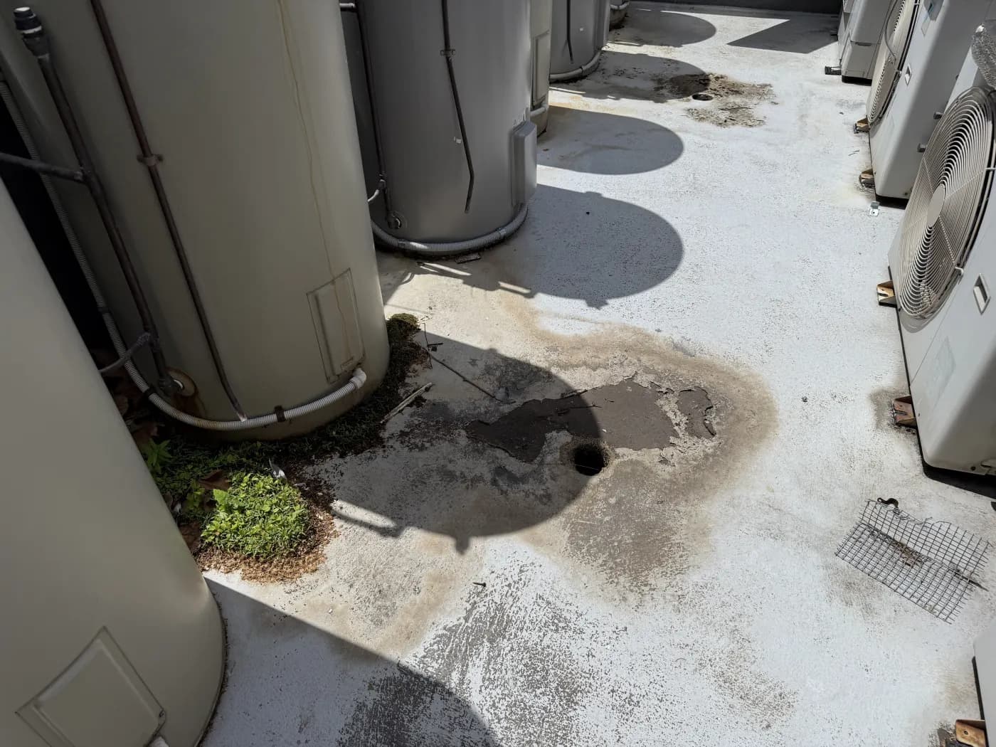 Roof beside hot water units where sections of membrane have been lifted and water is ponding around the outlet