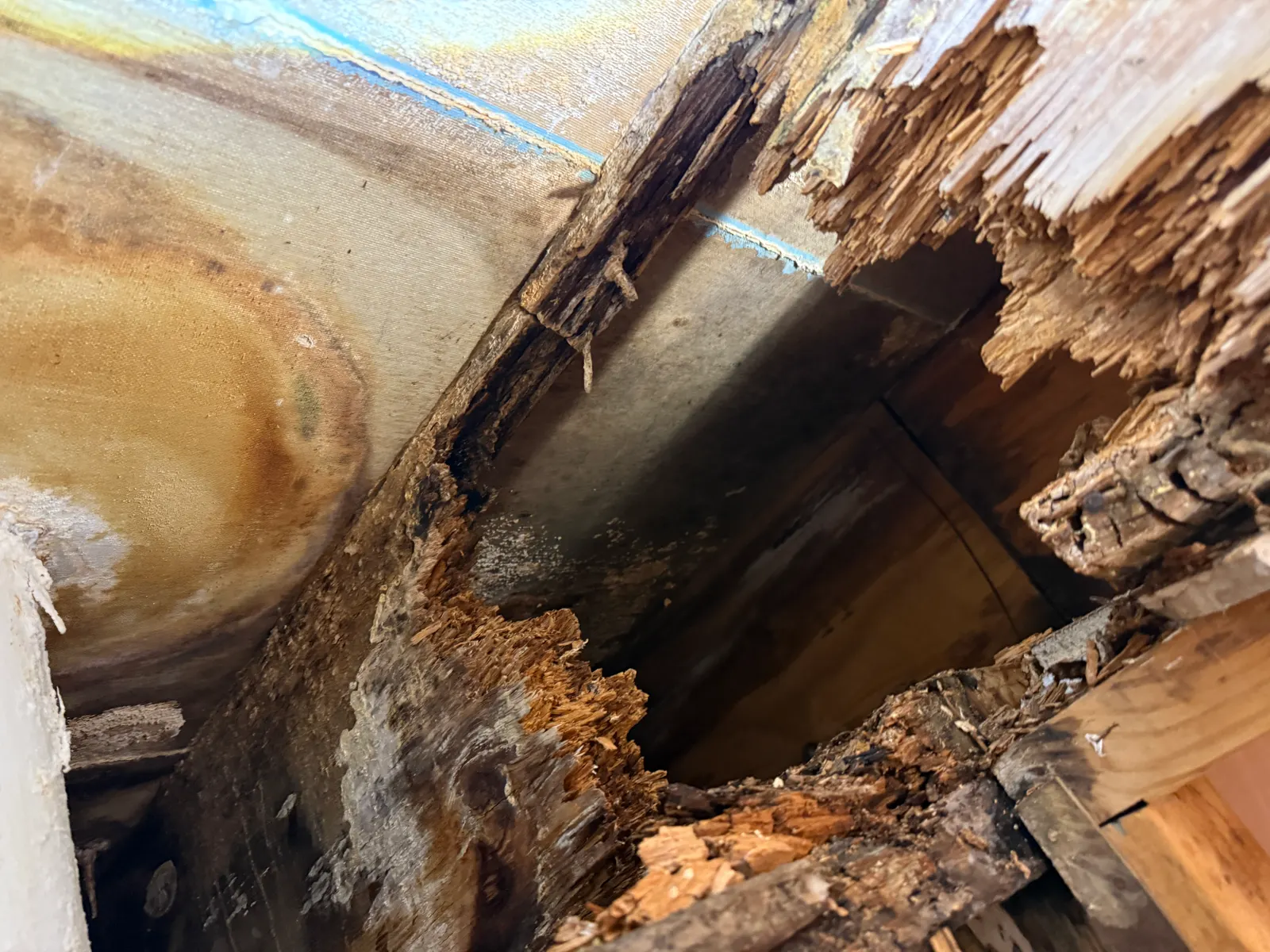 An opened wall cavity showing advanced structural timber decay